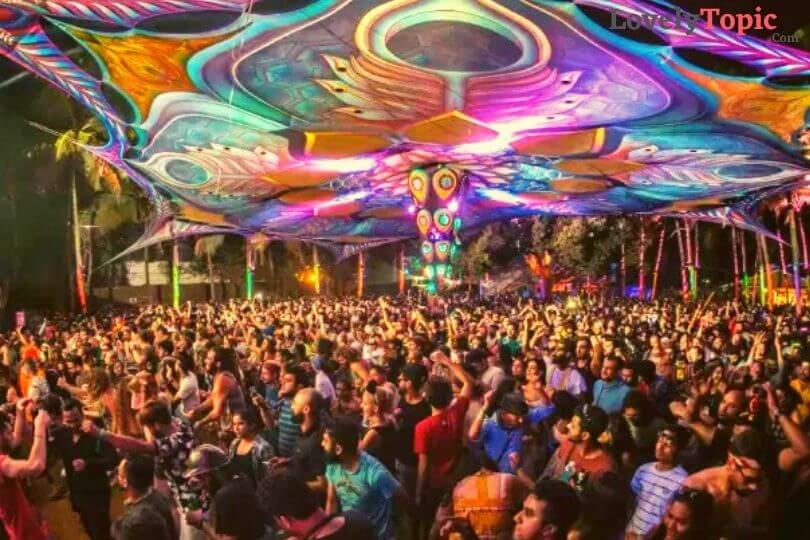 Goa New Year Party